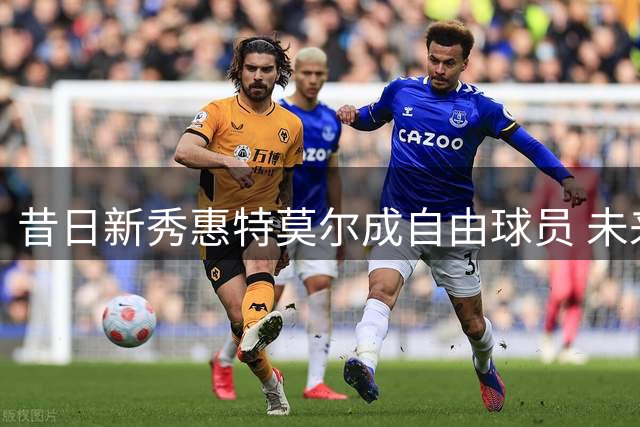 昔日新秀惠特莫尔成自由球员 未来将作何选择